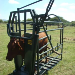 Vet clamp for cattle with Brahman neck clamp and optional rear box gate for veterinary procedures